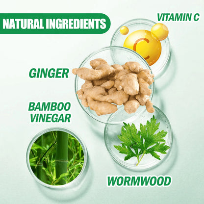 HMsmart®  Kinoki Detox Foot Patches| Kinoki Ginger & Wormwood Detox Foot Patches - HMsmart