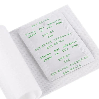 HMsmart®  Kinoki Detox Foot Patches| Kinoki Ginger & Wormwood Detox Foot Patches - HMsmart